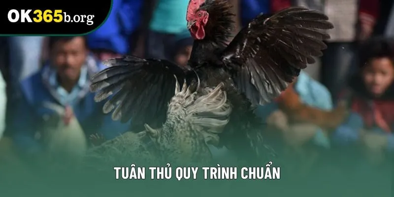 Tuân thủ quy trình chuẩn Tuân thủ quy trình chuẩn