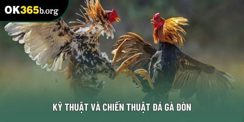 Kỹ thuật và chiến thuật đá gà đòn Kỹ thuật và chiến thuật đá gà đòn