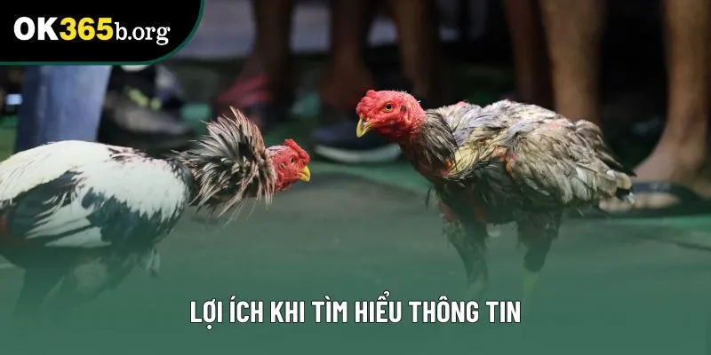 Lợi ích khi tìm hiểu thông tin Lợi ích khi tìm hiểu thông tin