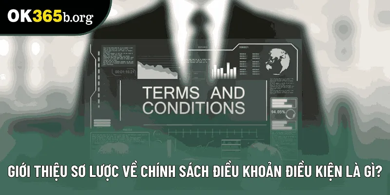 Giới thiệu sơ lược về chính sách điều khoản điều kiện là gì? Giới thiệu sơ lược về chính sách điều khoản điều kiện là gì?