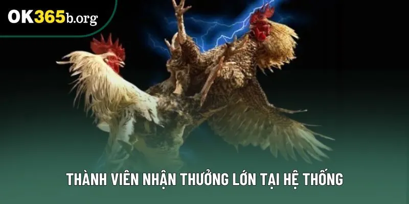 Thành viên nhận thưởng lớn tại hệ thống Thành viên nhận thưởng lớn tại hệ thống